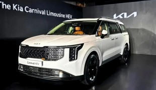 Hyundai Creta Hybrid и Kia Carnival Hybrid: четыре новинки для Индии